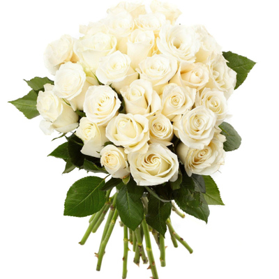 دسته گل کد 523